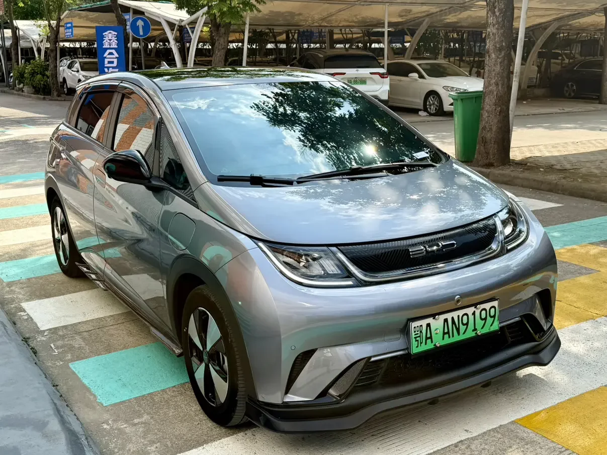 BYD dolphin
