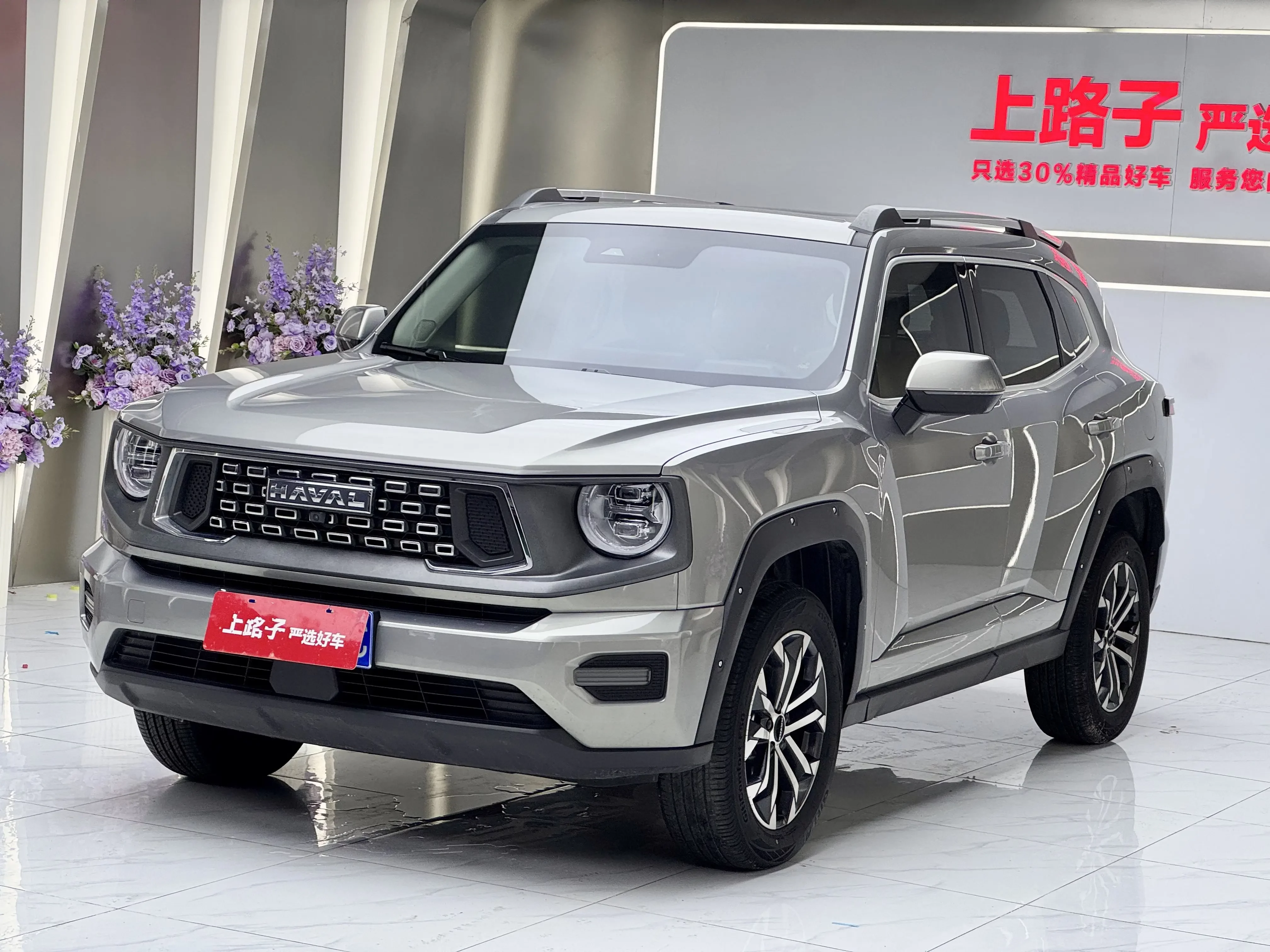 Haval H-Dog (Big Dog PLUS)