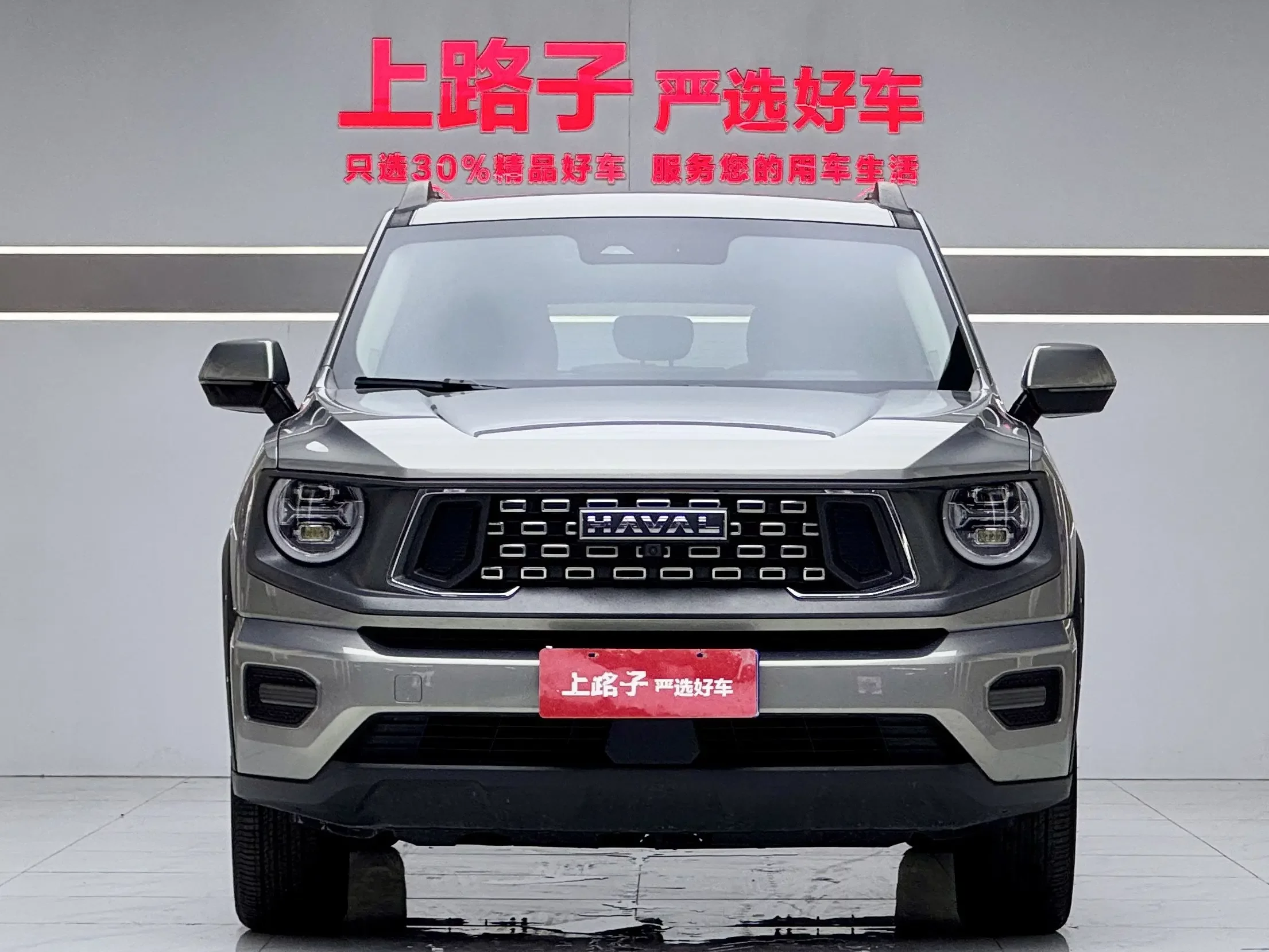 Haval H-Dog (Big Dog PLUS)
