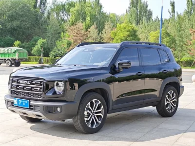Haval Big Dog DaGou