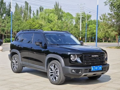 Haval Big Dog DaGou