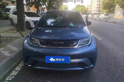 BYD Dolphin