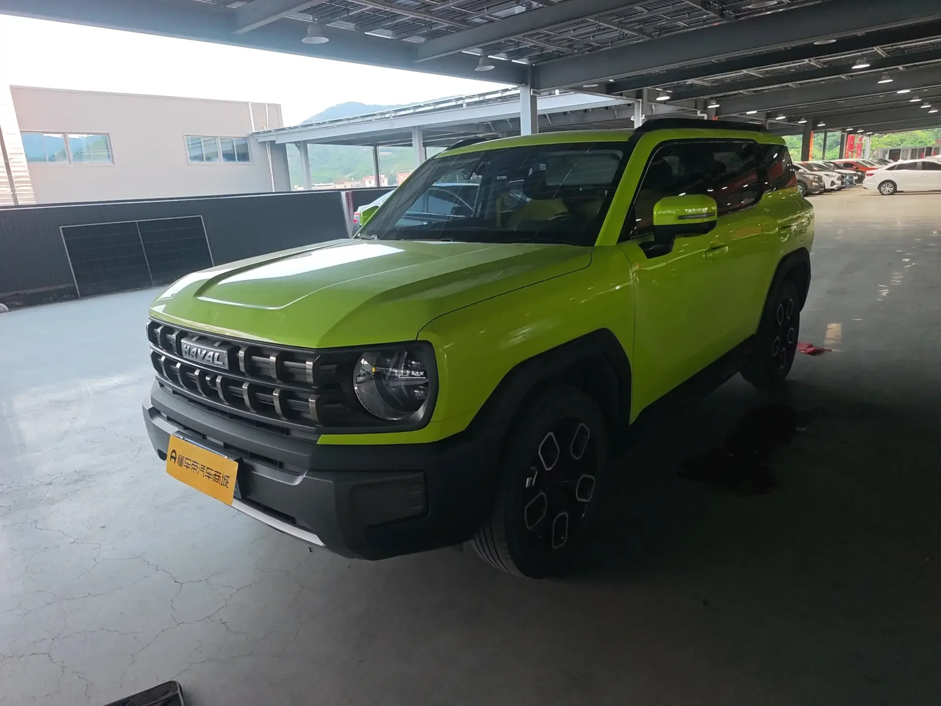 Haval cool dog