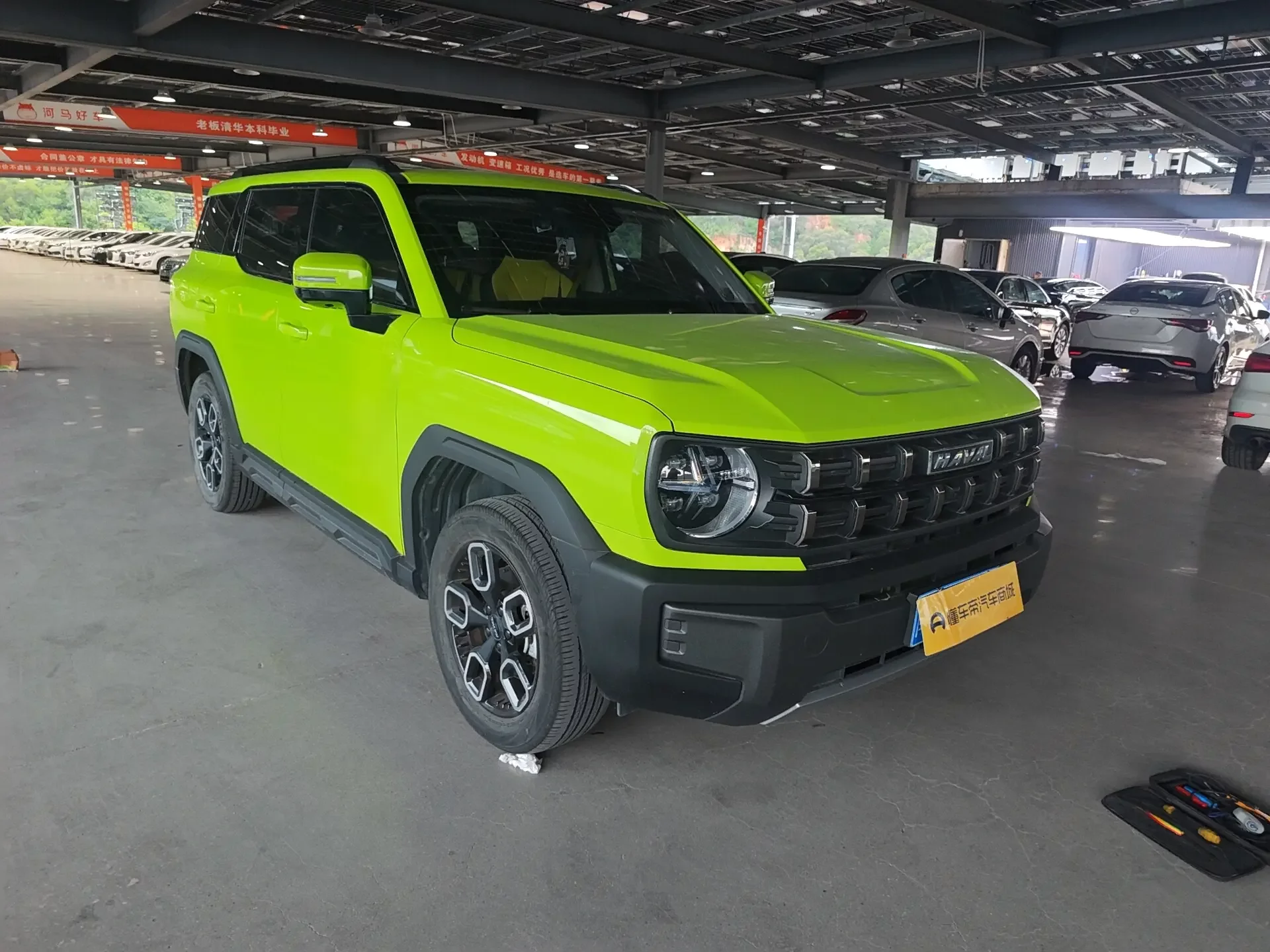 Haval cool dog
