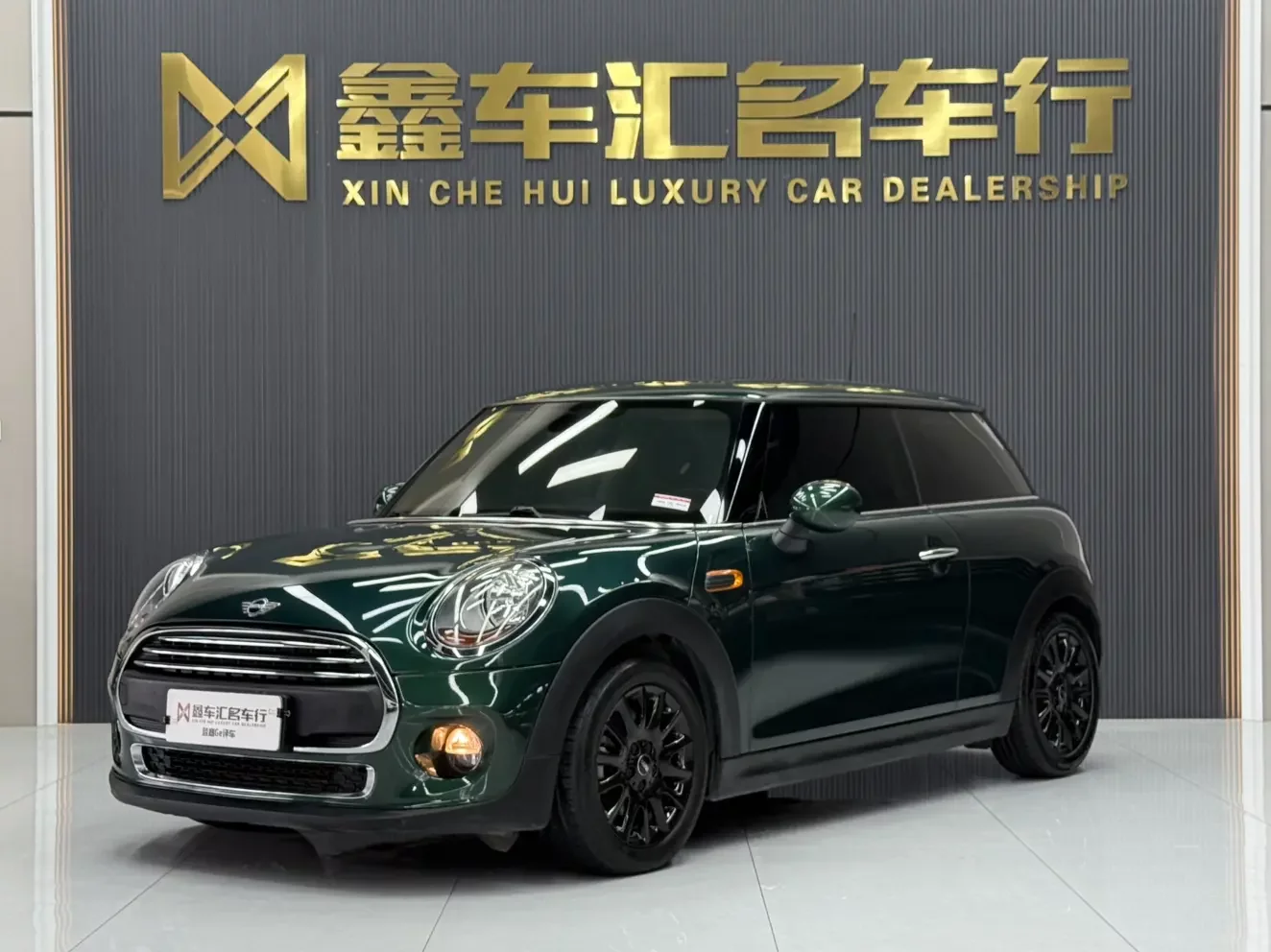 MINI 
