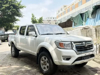 Dongfeng Ruiqi