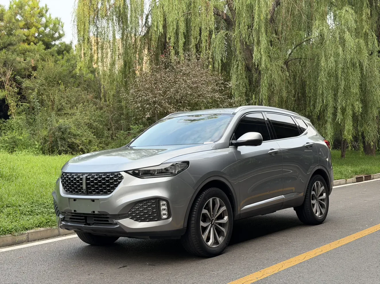 Wey Wei brand VV6