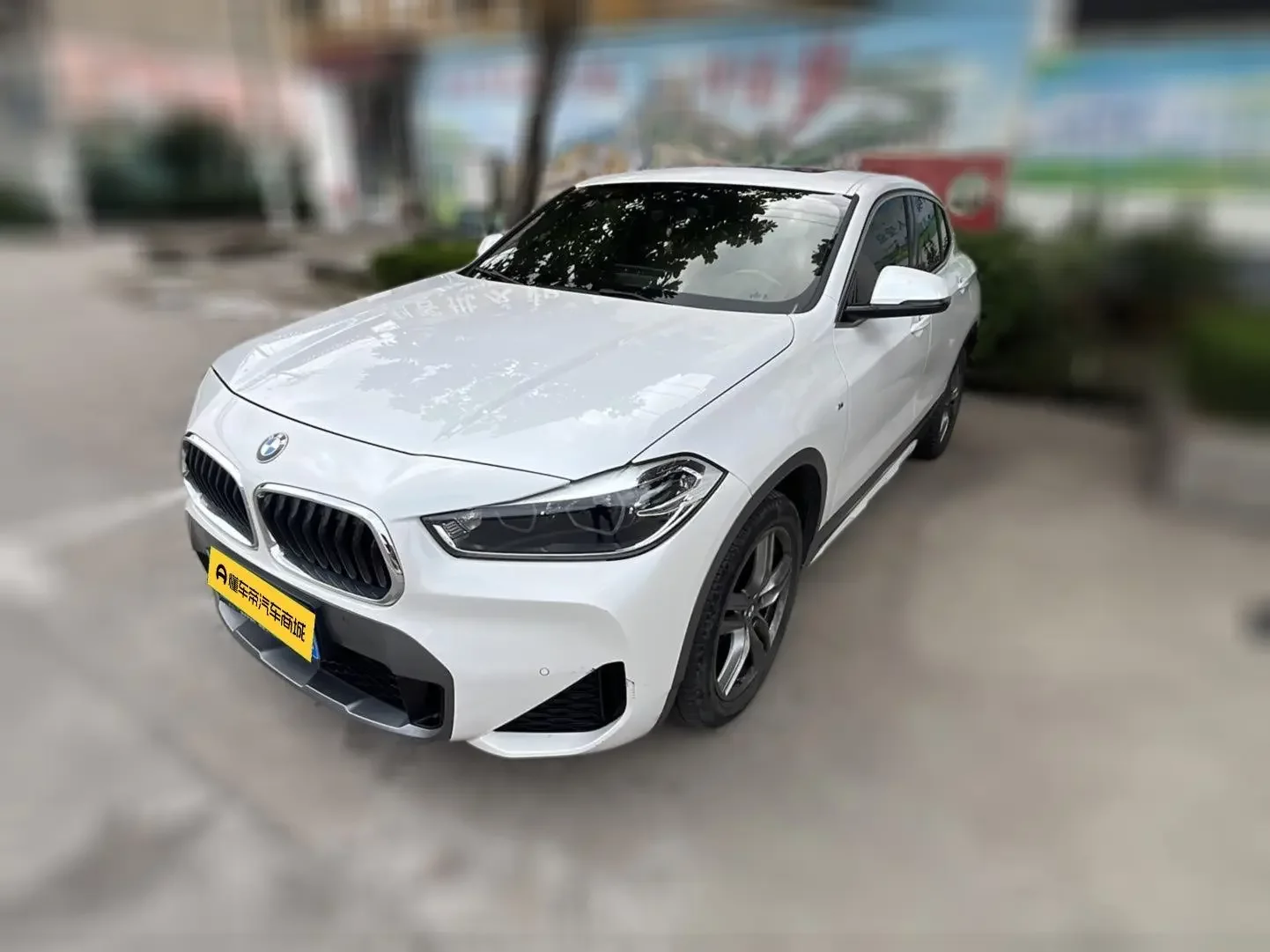 BMW X2