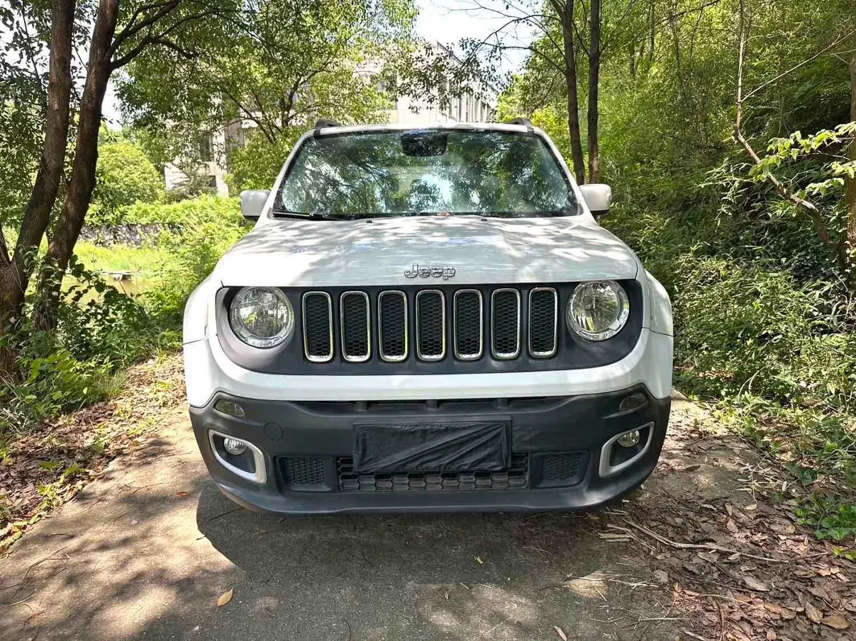 Jeep Freeman
