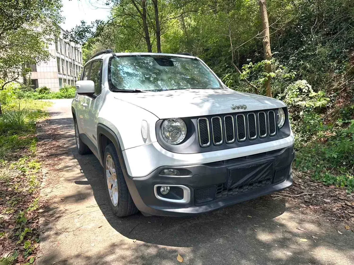 Jeep Freeman