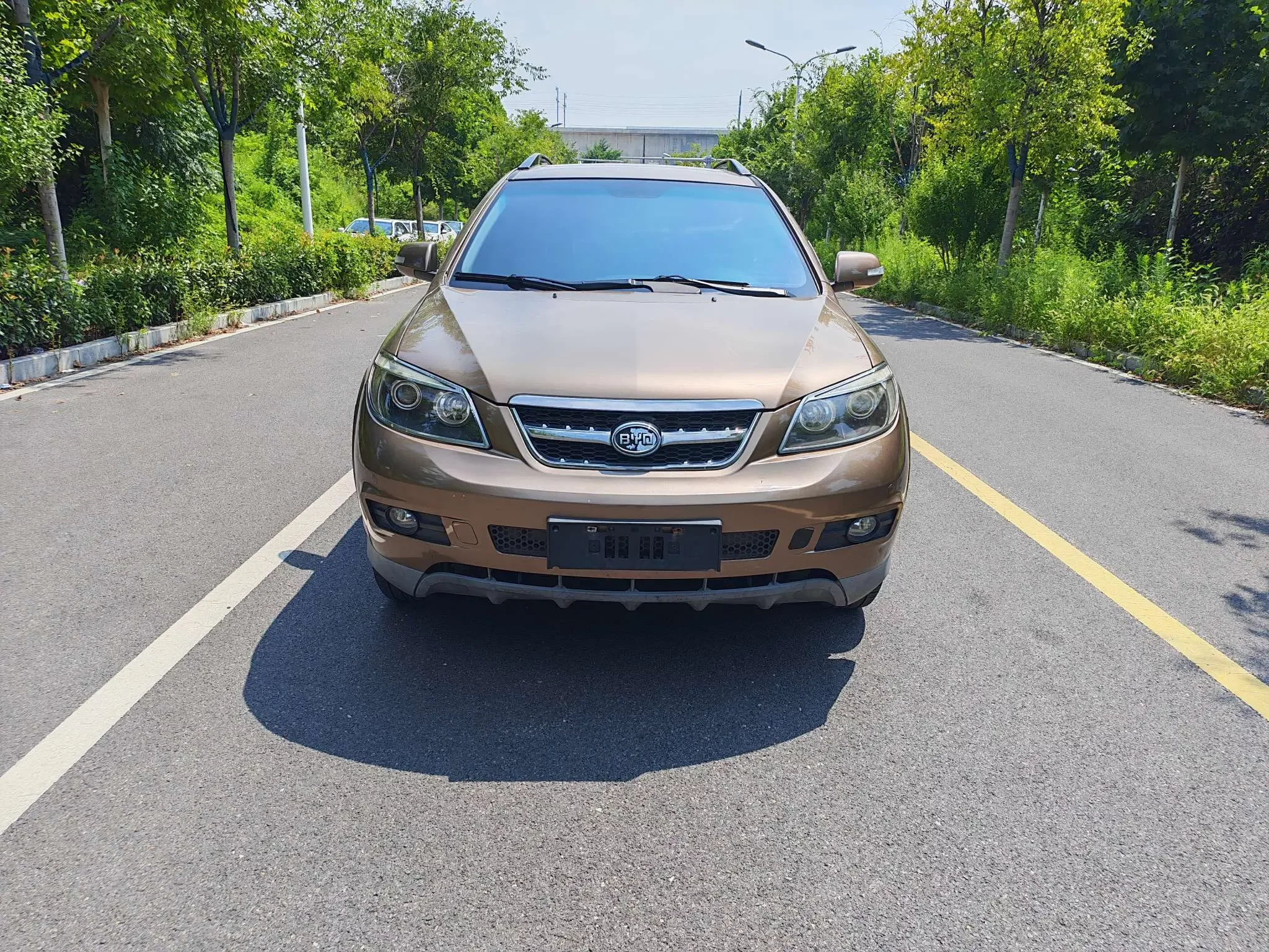 BYD S6