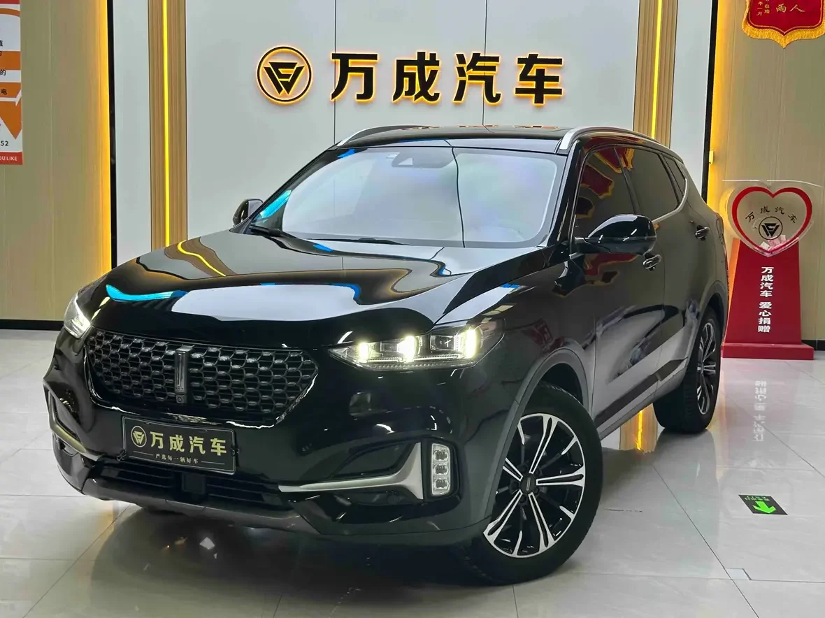 Wey Wei brand VV6