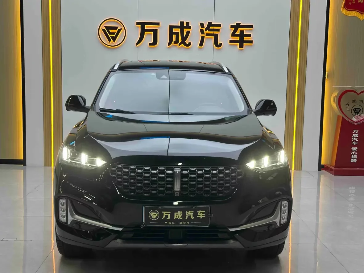 Wey Wei brand VV6