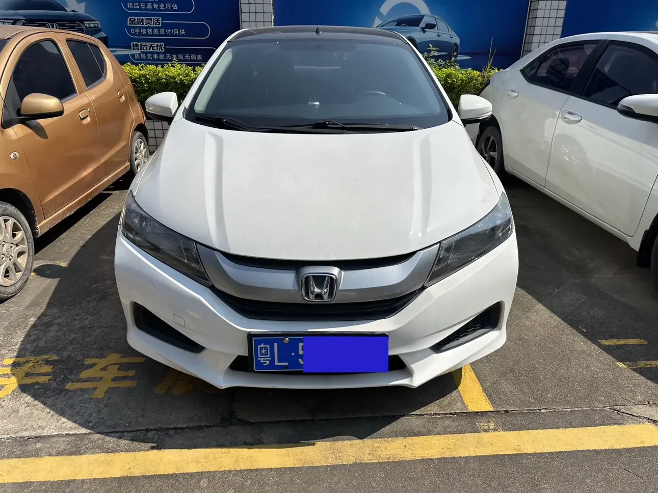 Honda Feng Fan