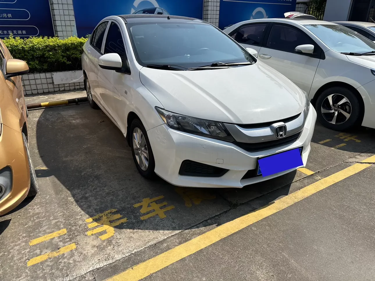 Honda Feng Fan