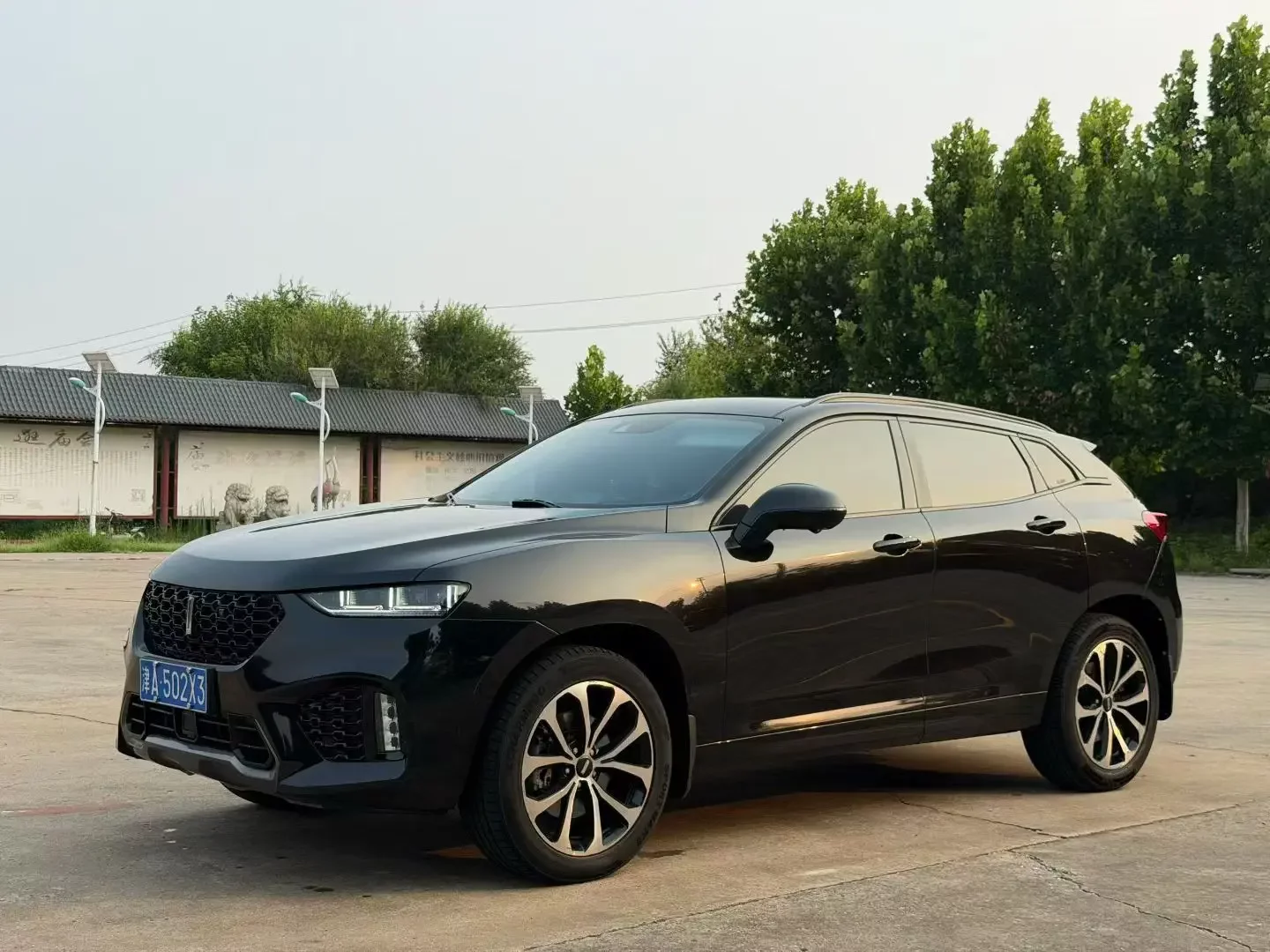 Wey Wei brand VV7