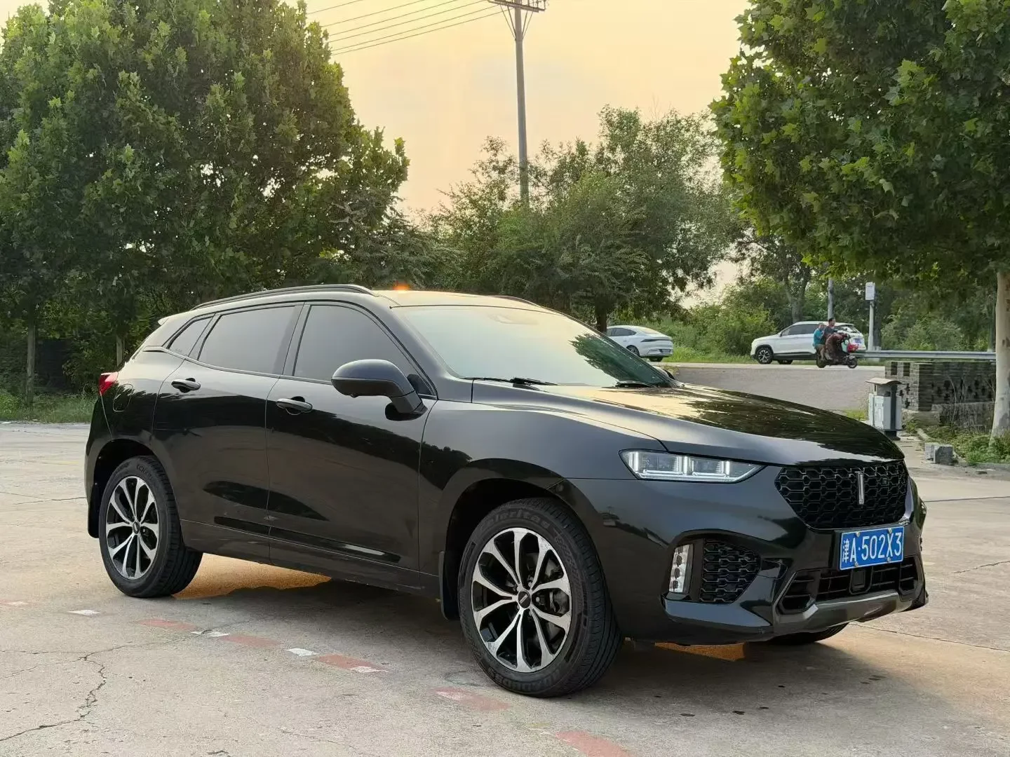 Wey Wei brand VV7