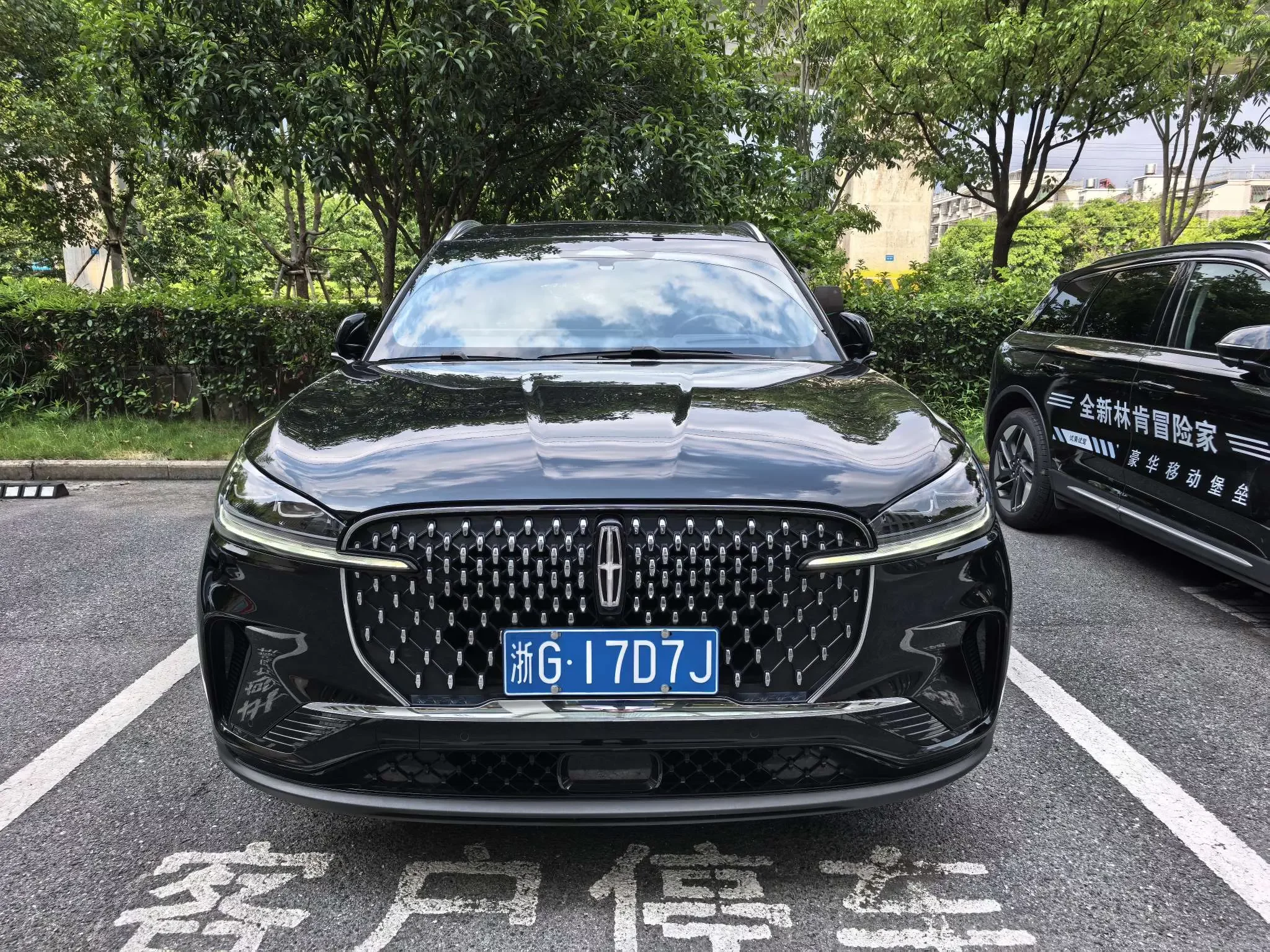 Lincoln aviator