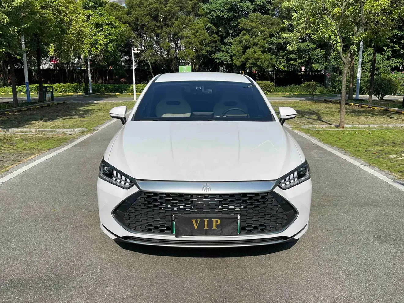 BYD Qin PLUS DM
