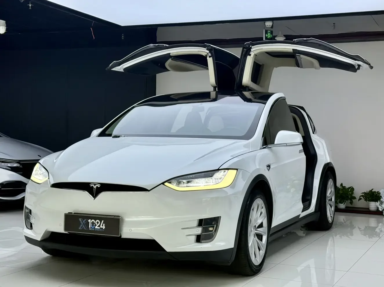 Tesla Model X