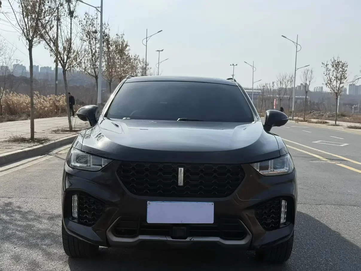 Wey Wei brand VV5