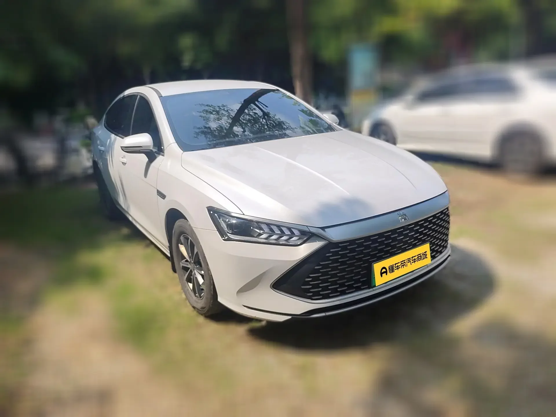 BYD Qin PLUS DM