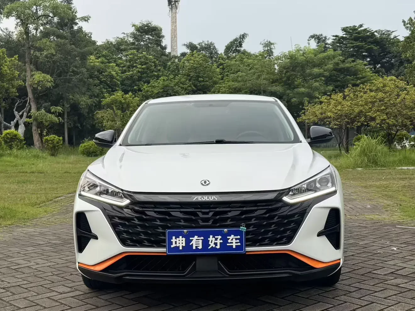 Dongfeng Yixuan