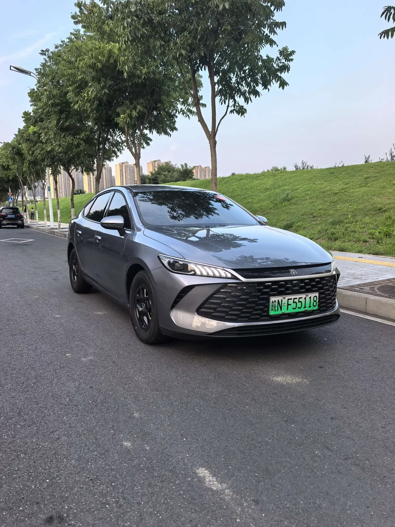 BYD Qin PLUS DM