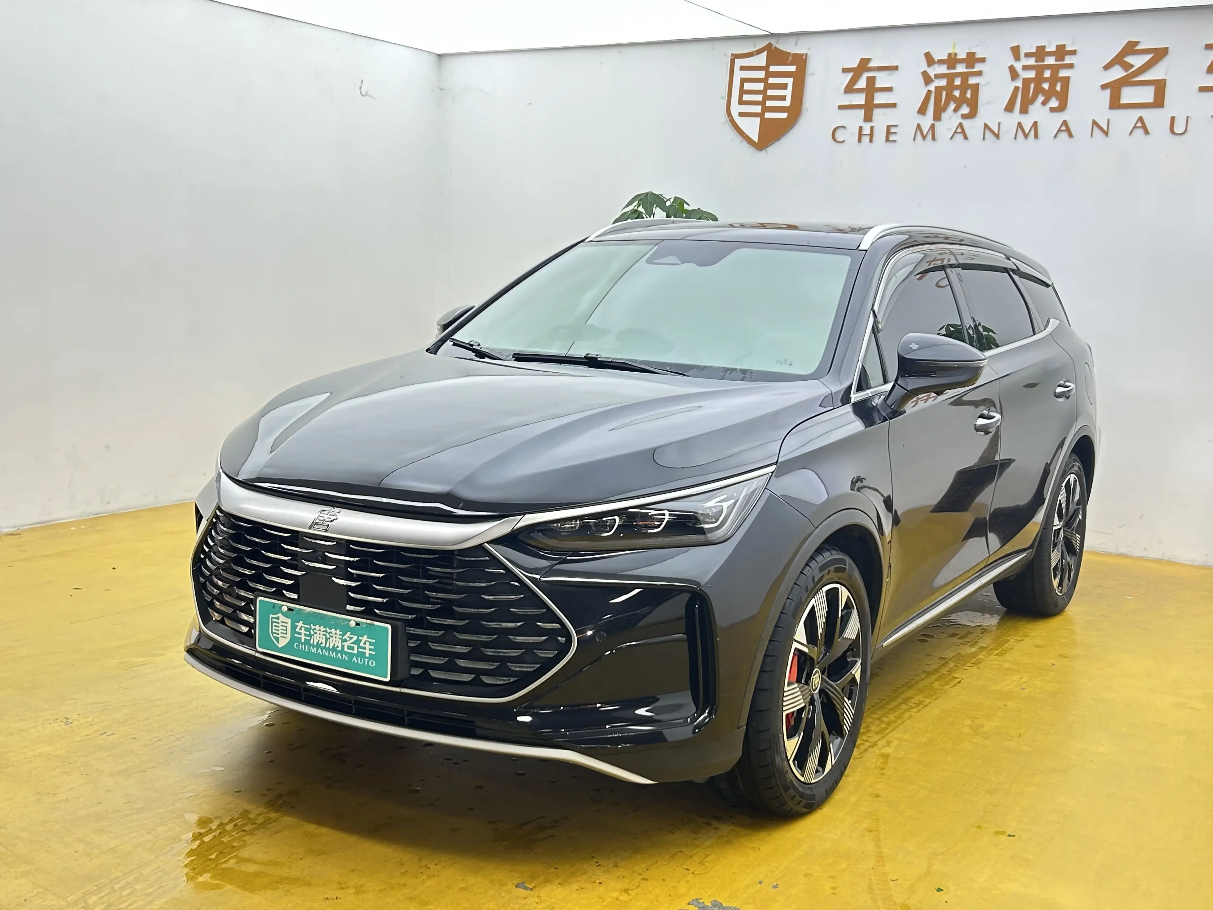BYD Tang DM