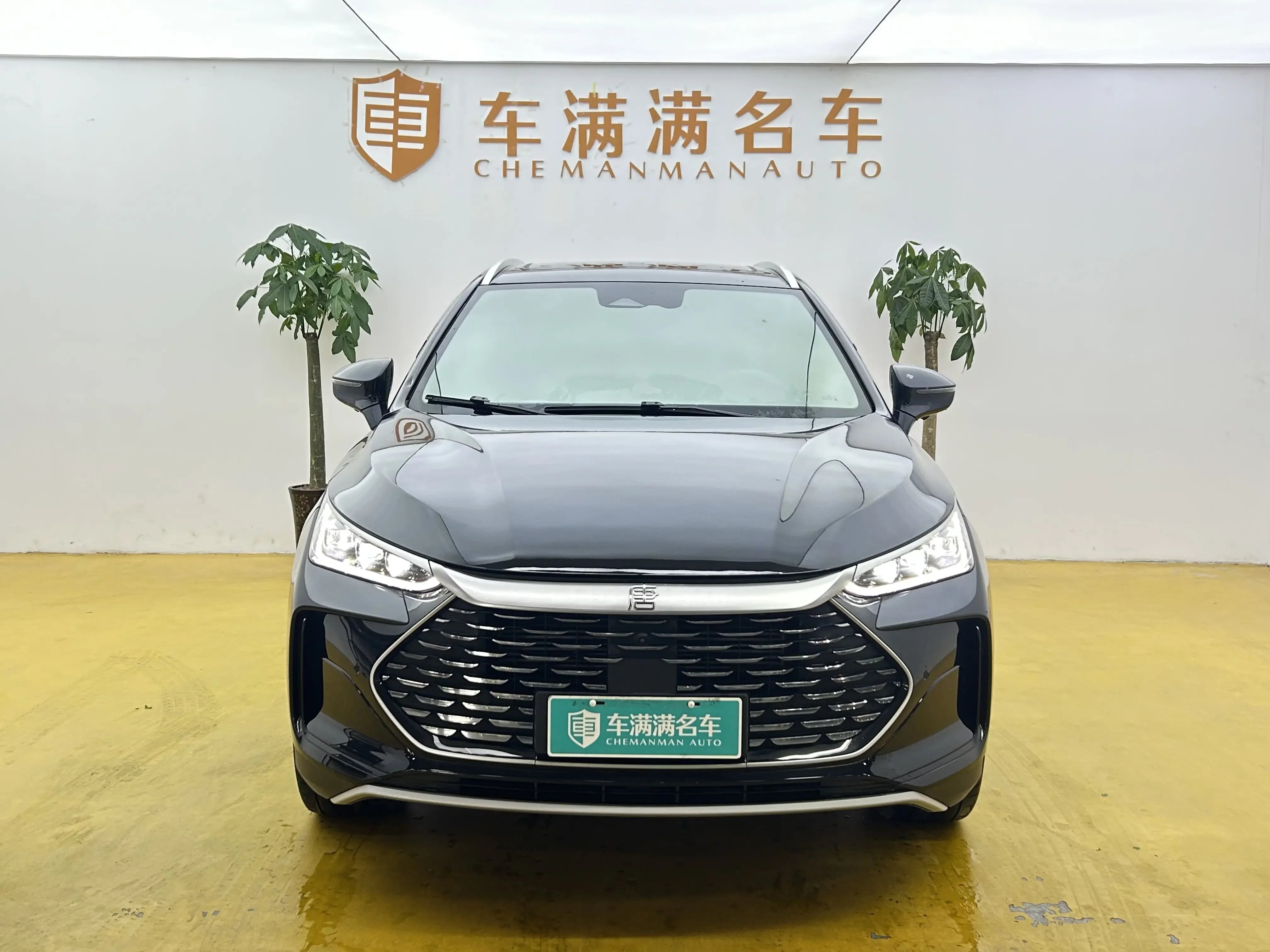 BYD Tang DM
