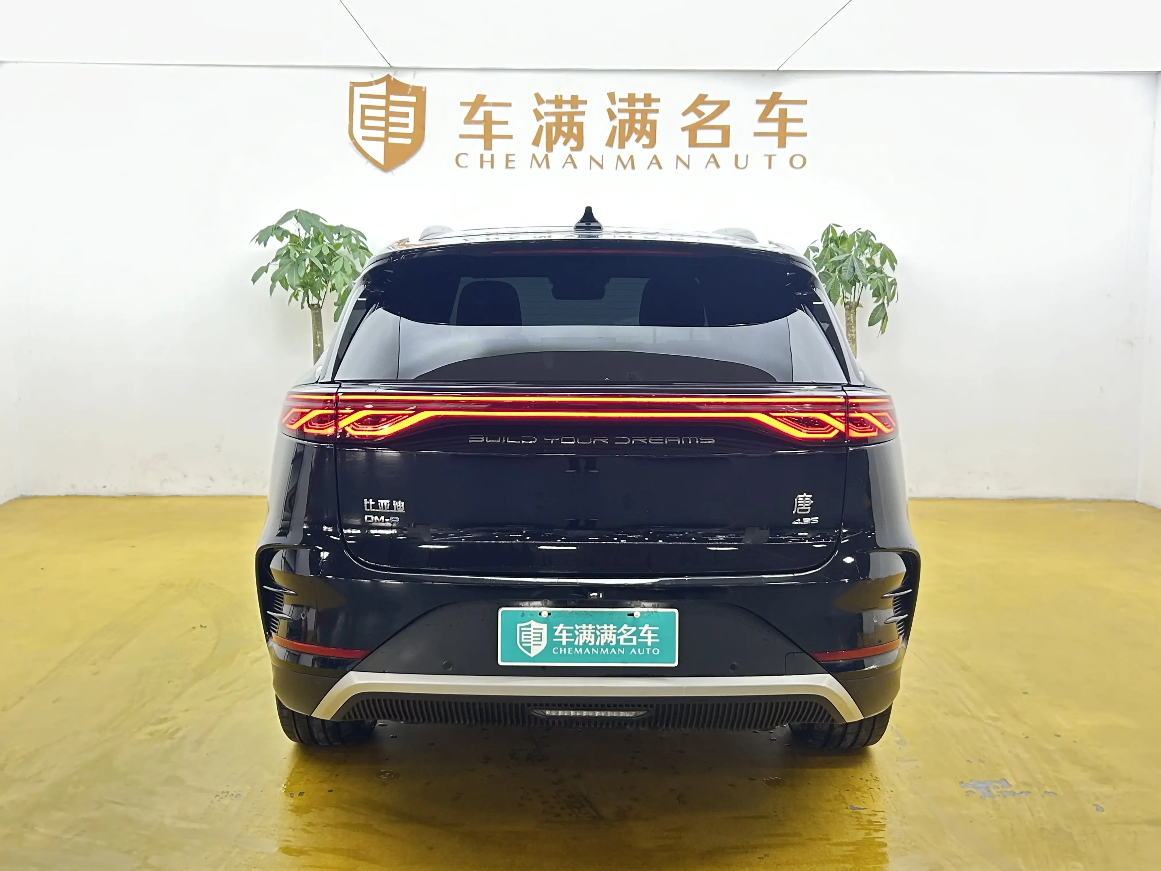 BYD Tang DM