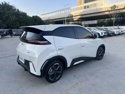BYD Seagull