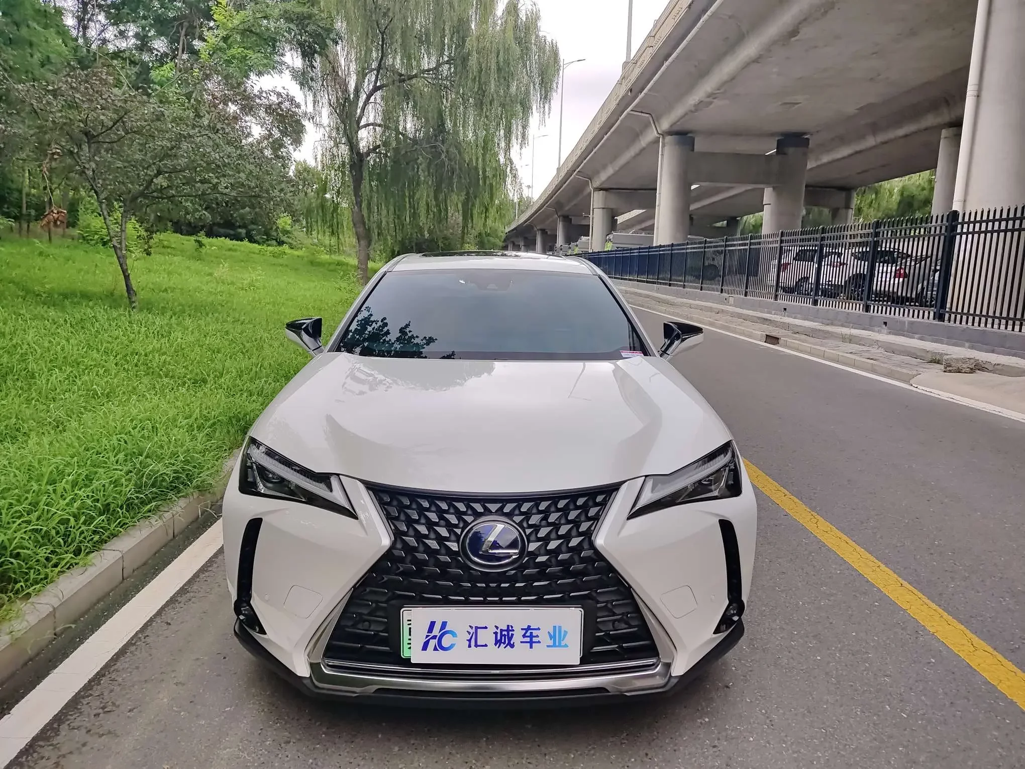 Lexus UX EV