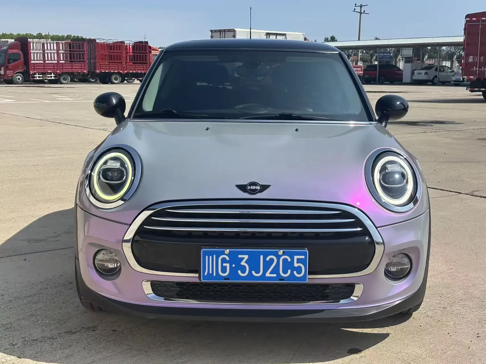 MINI 