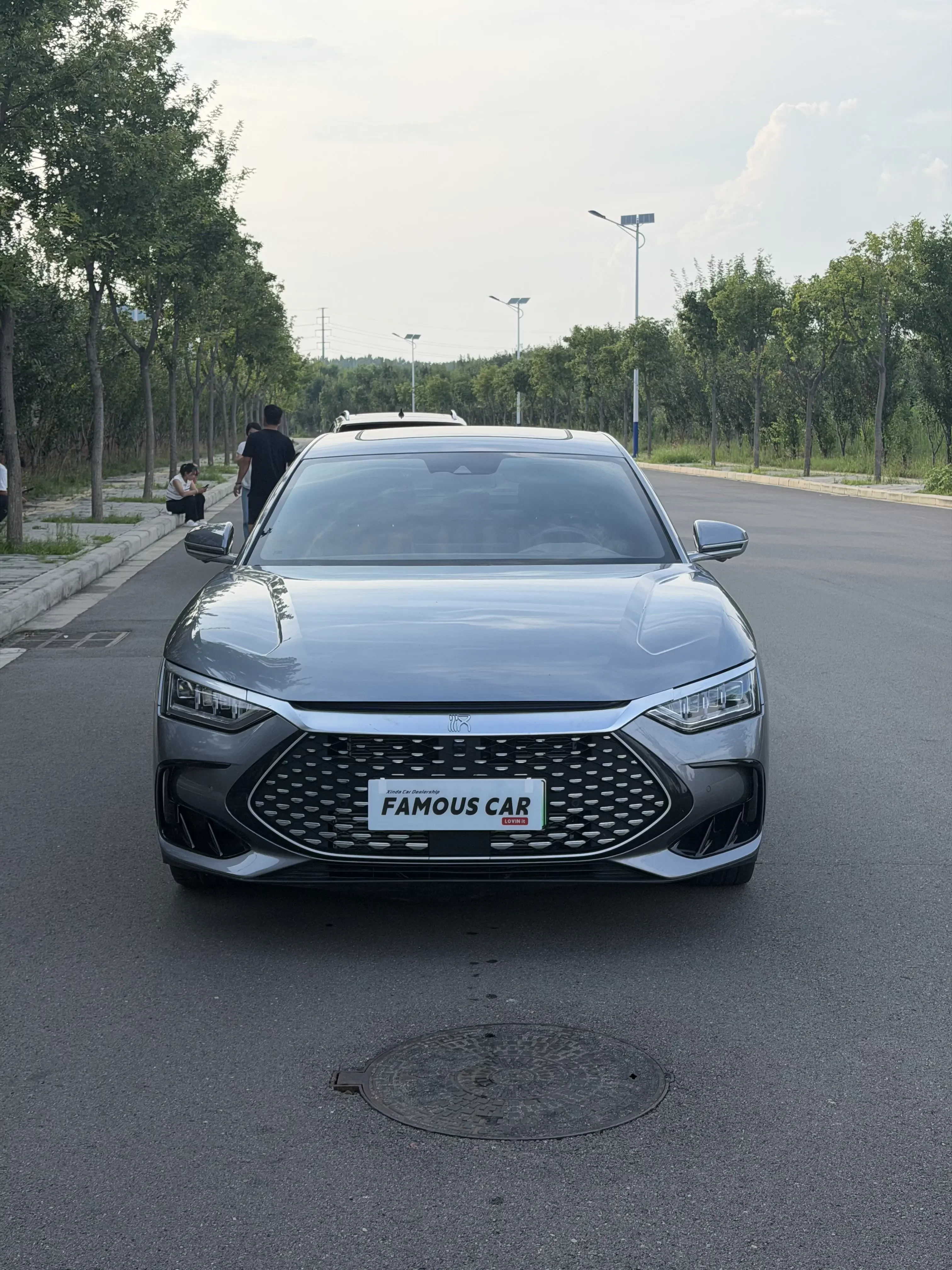 BYD HAN DM