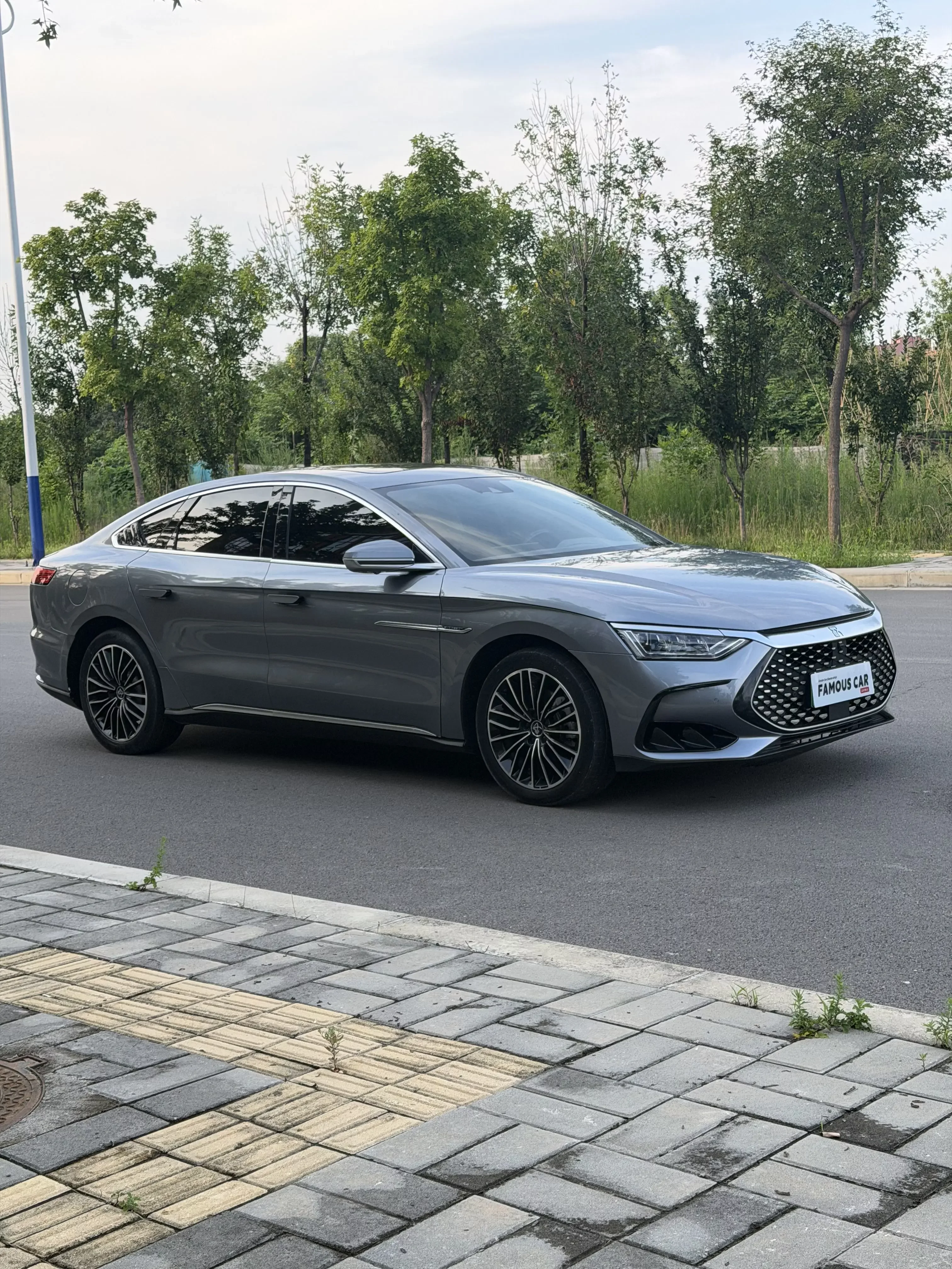 BYD HAN DM