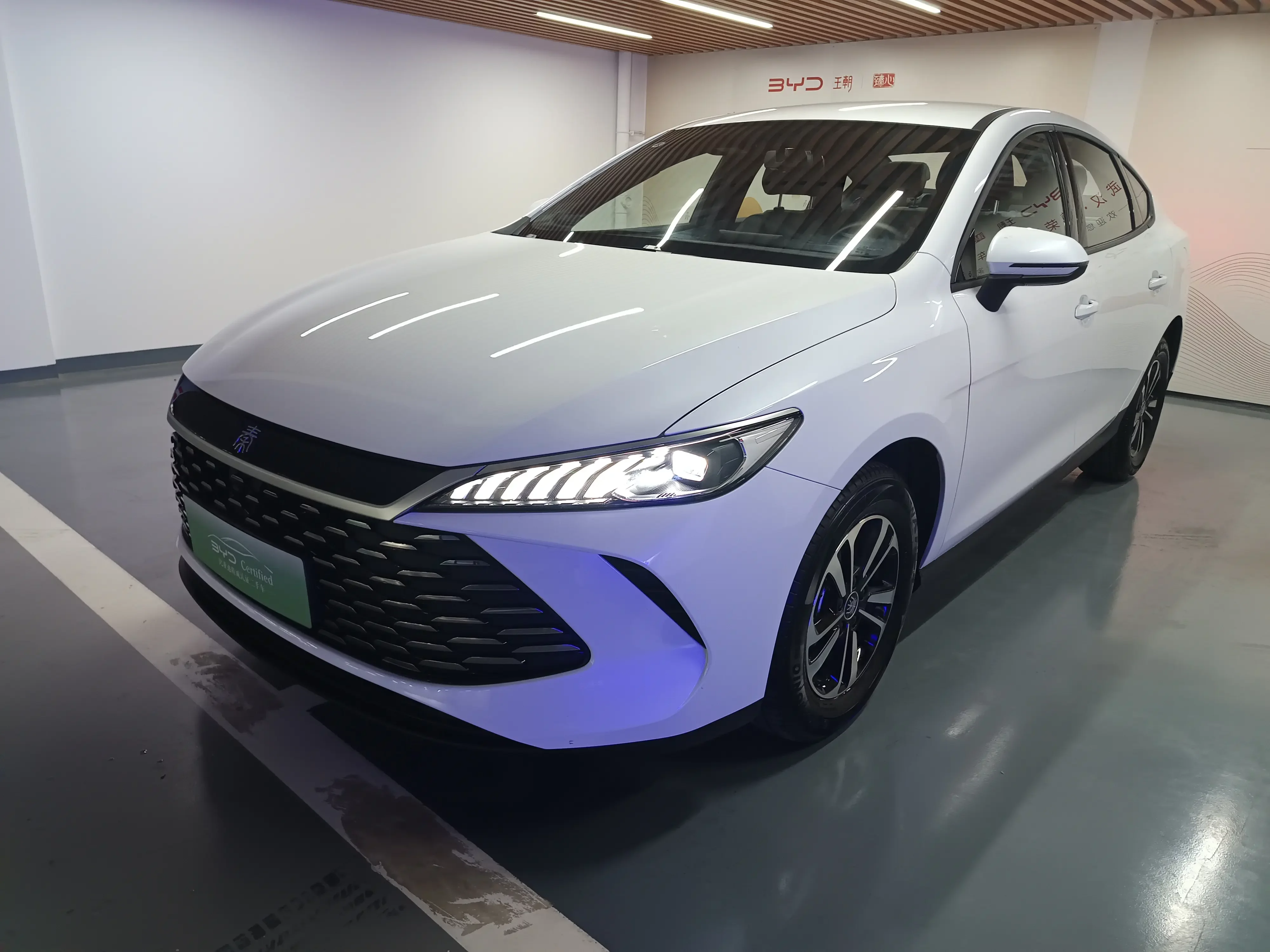 BYD Qin PLUS DM