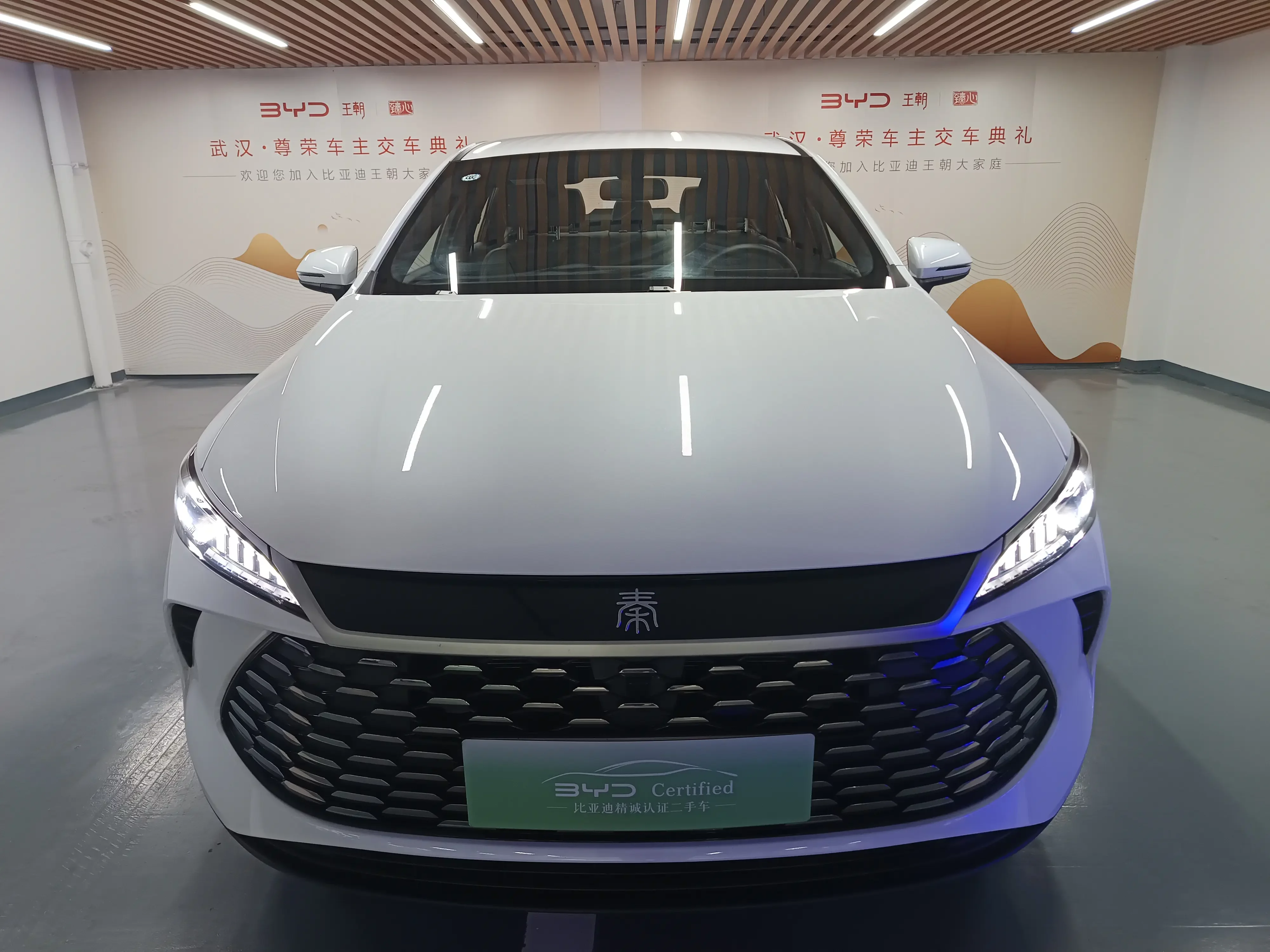 BYD Qin PLUS DM