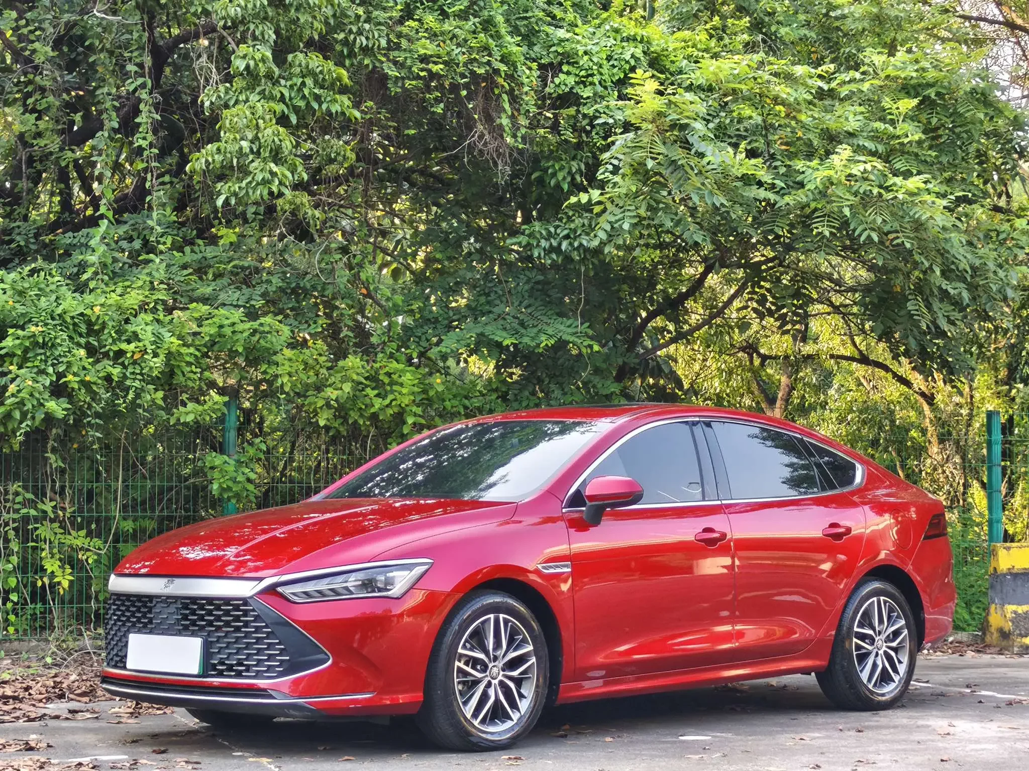 BYD Qin PLUS DM