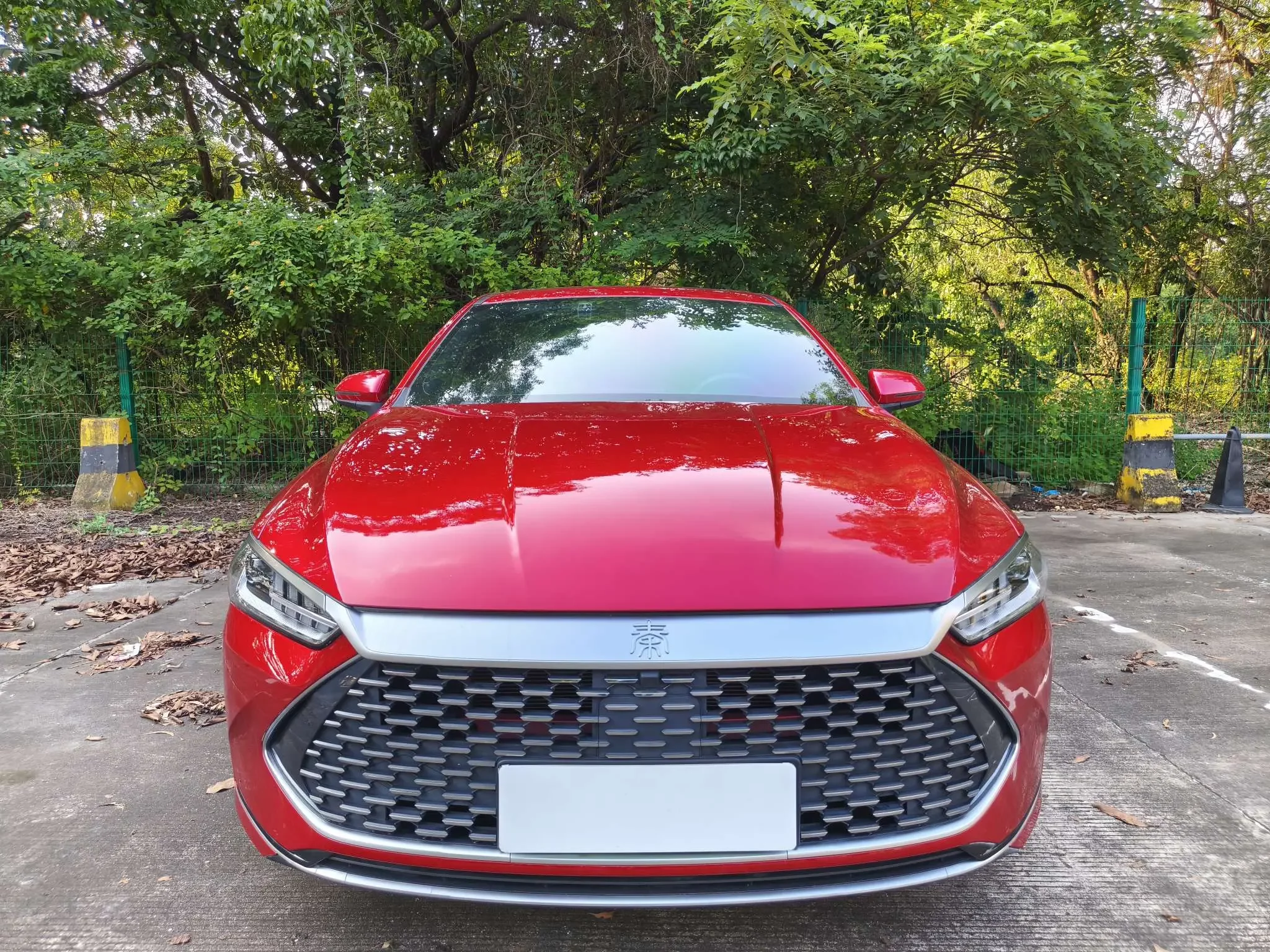 BYD Qin PLUS DM