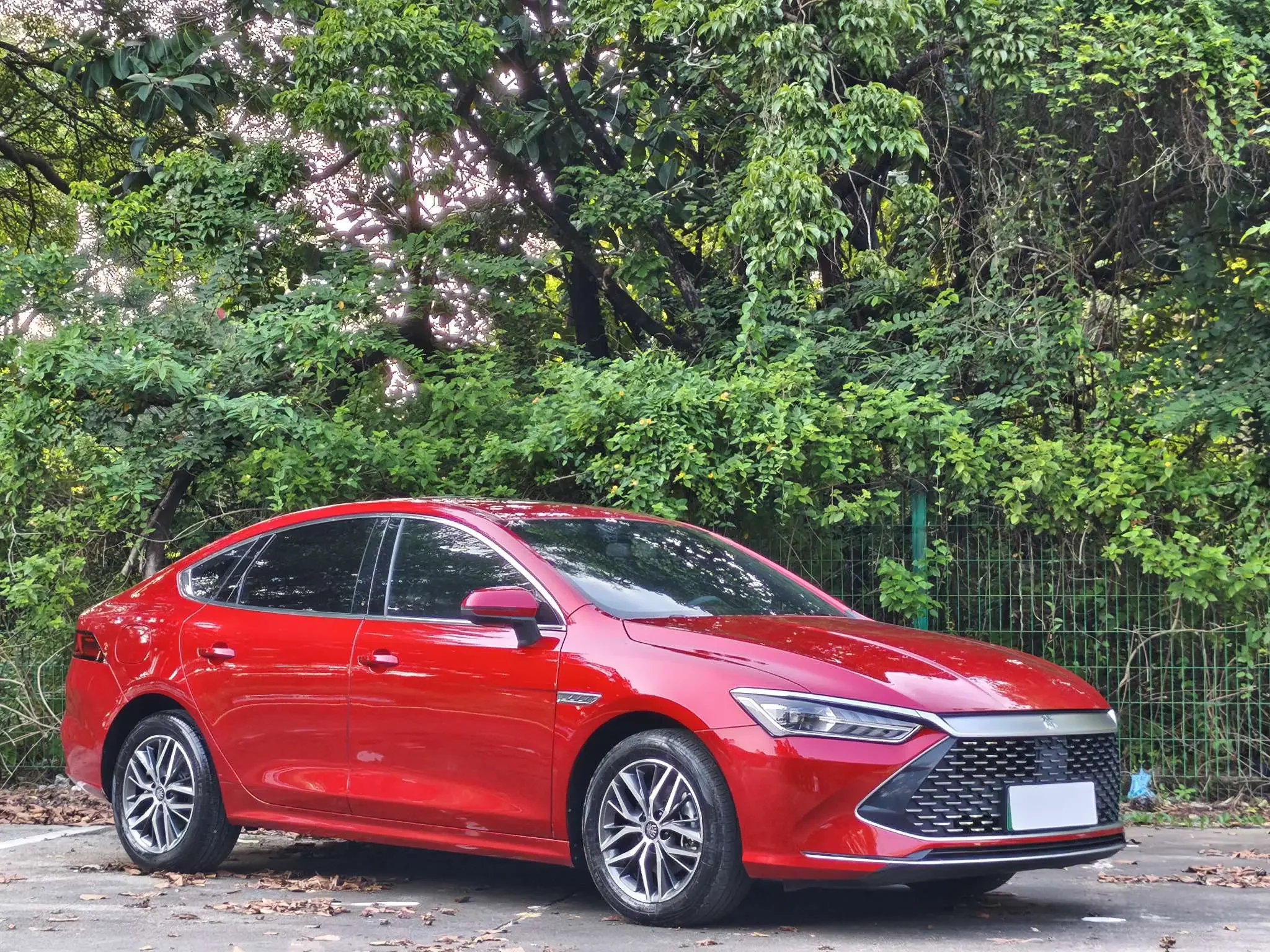 BYD Qin PLUS DM