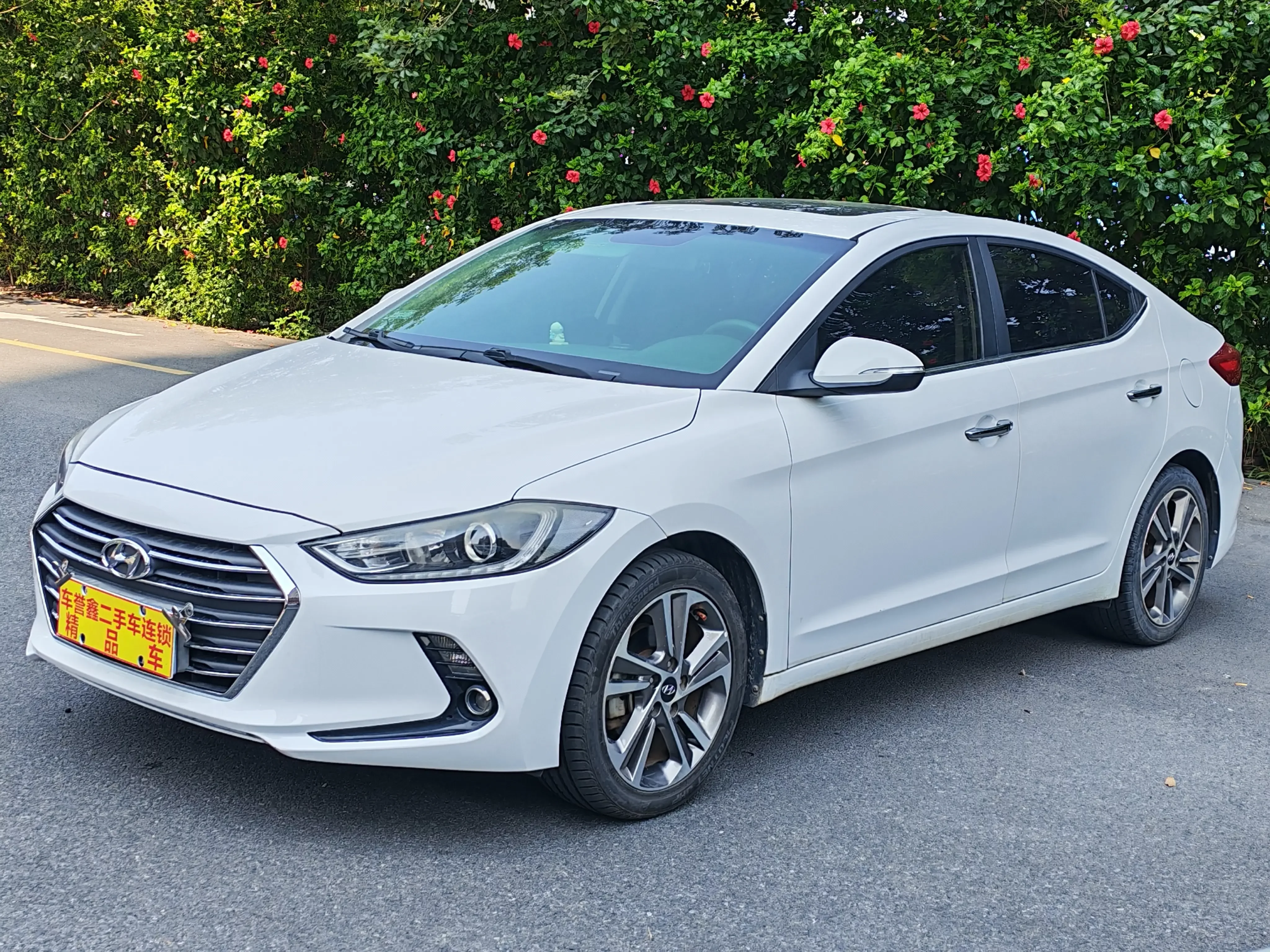 Hyundai lead