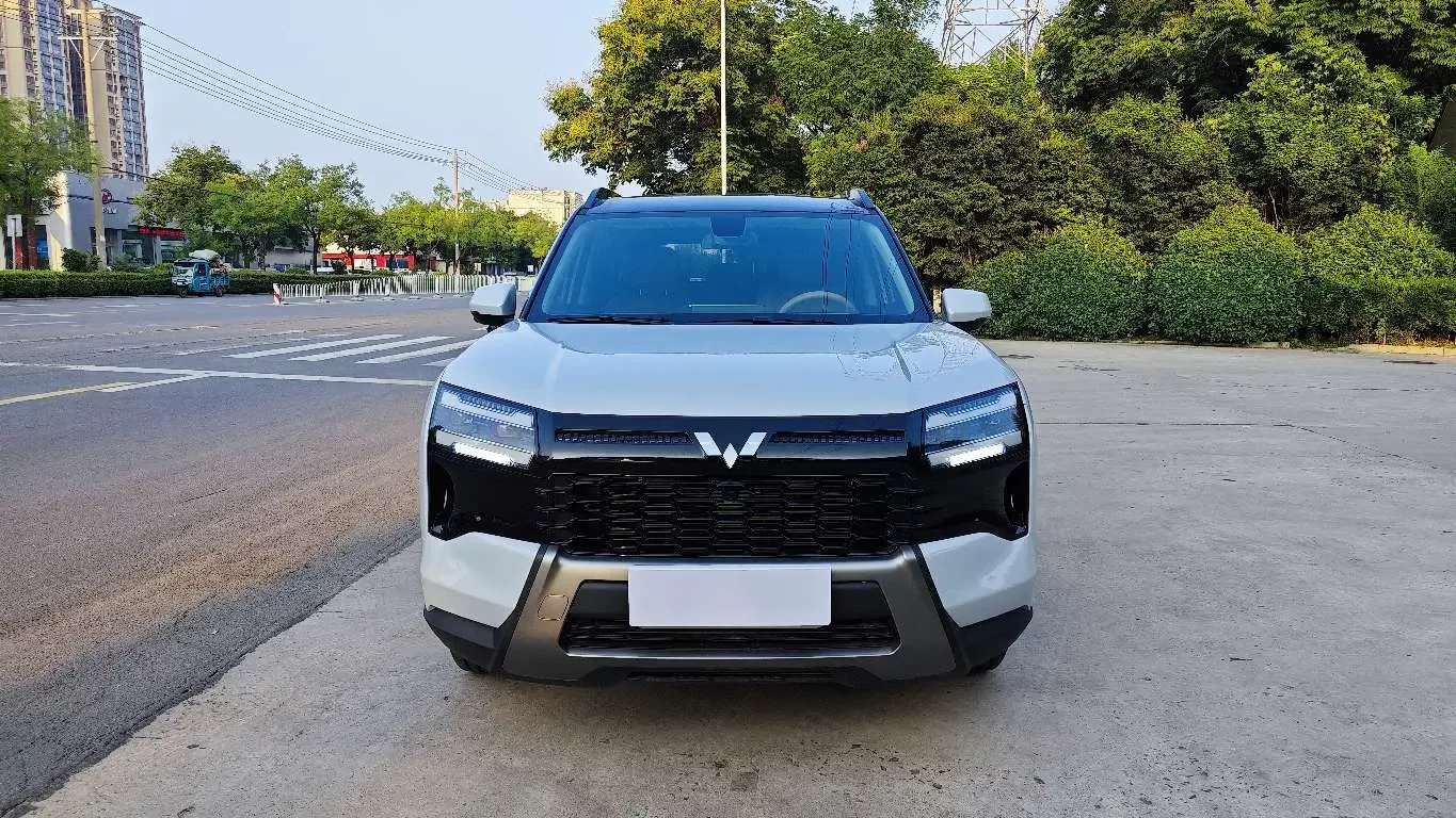 Wuling Starlight 560