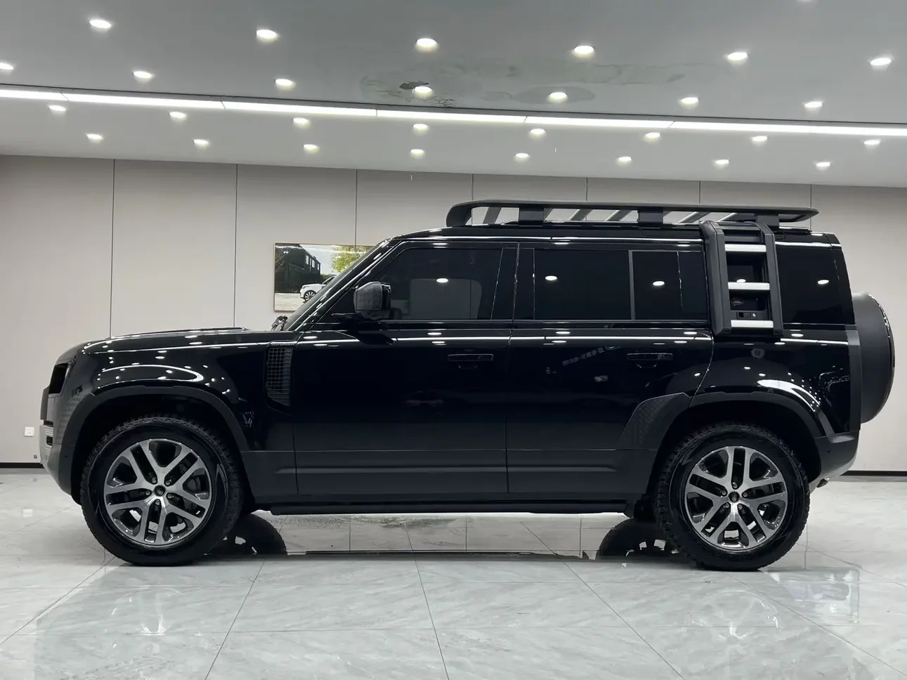 Land Rover guard