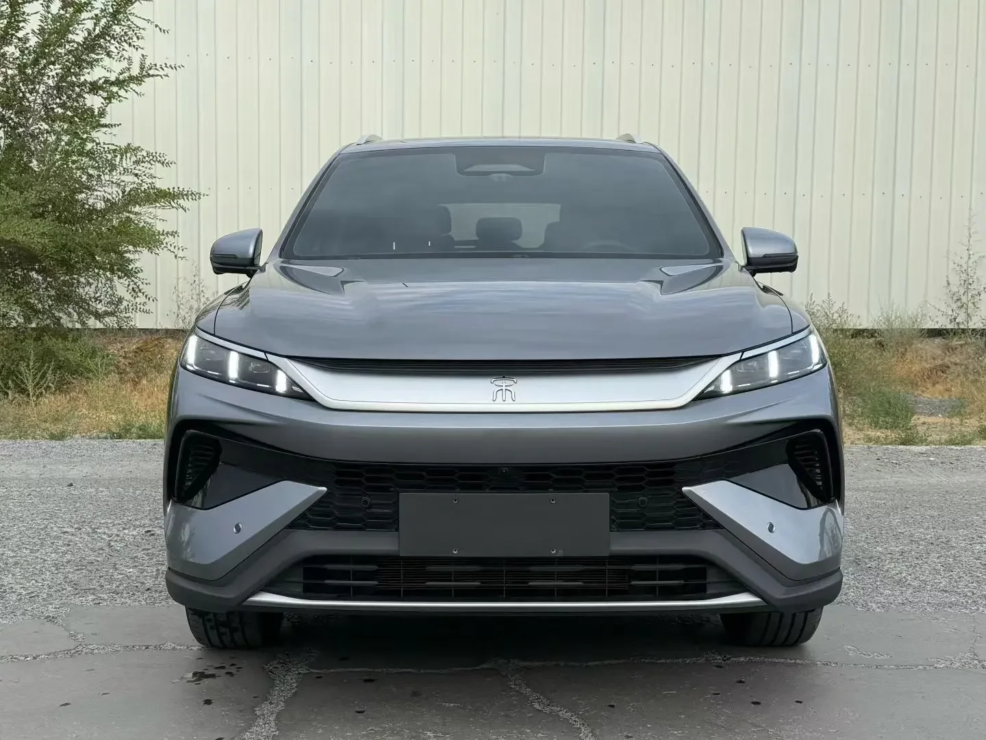 BYD Song Pro DM