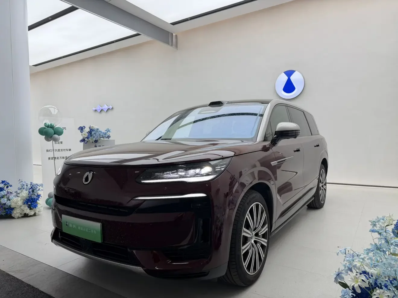 Denza Tengzhong N9 DM