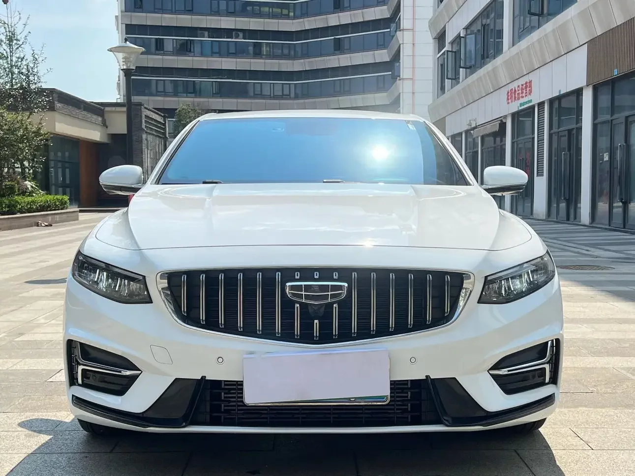 Geely Preface (Xing Rui)