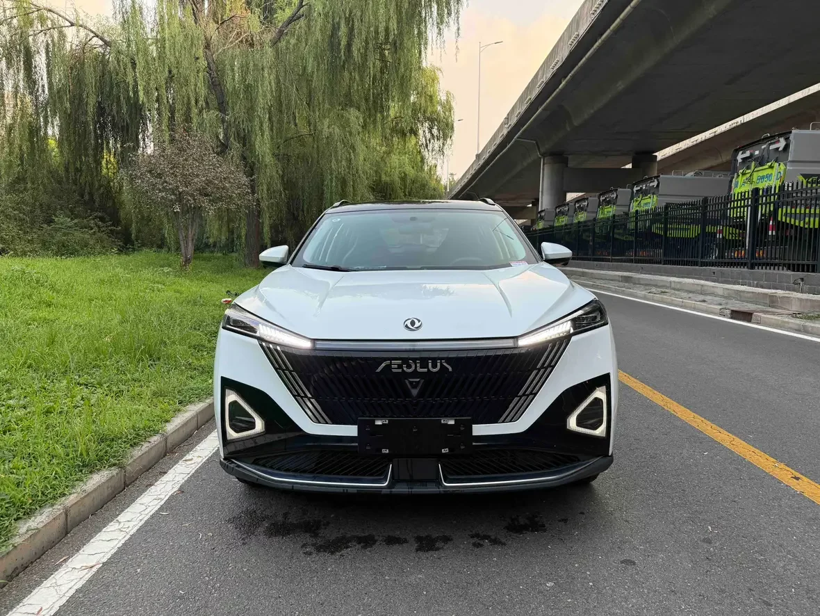 Dongfeng Haohan