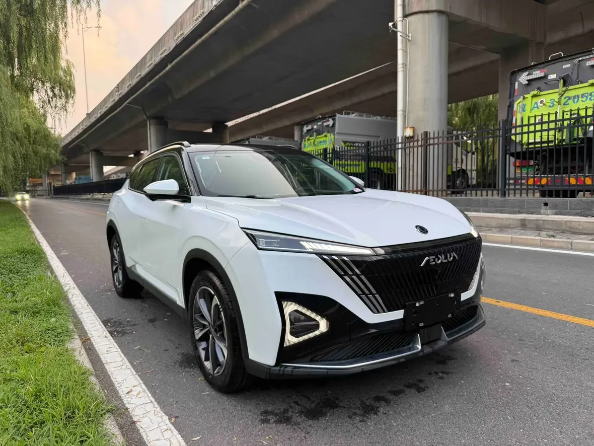 Dongfeng Haohan