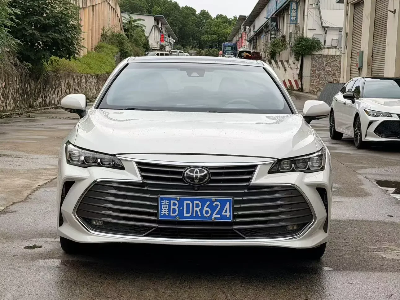 Toyota Avalon (asian dragon)